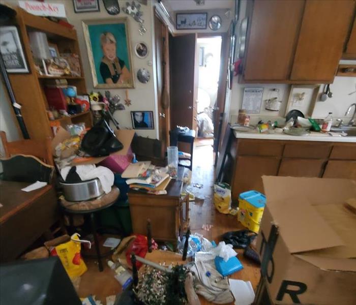 hoarded kitchen 