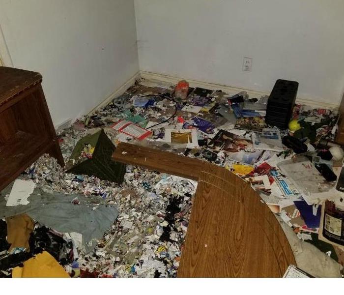 a lot of trash shredded on bedroom floor with feces 