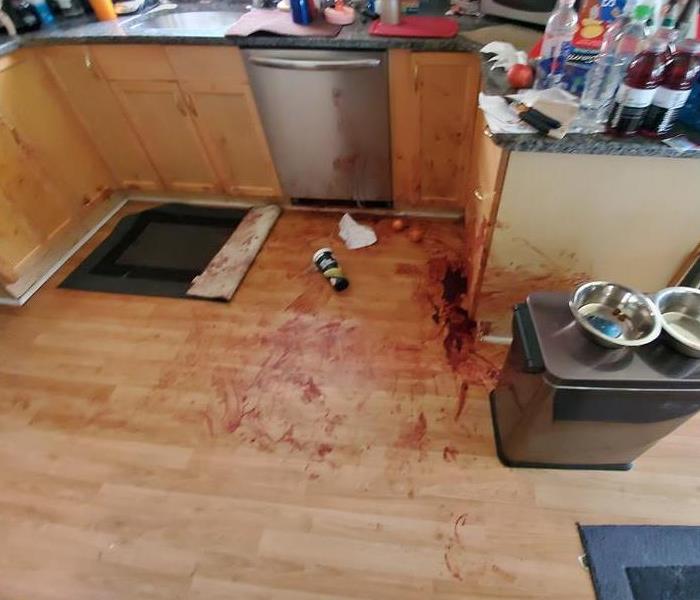 blood all over kitchen floor 