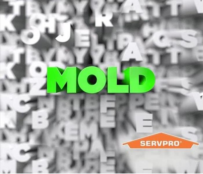 the word mold in green letters 