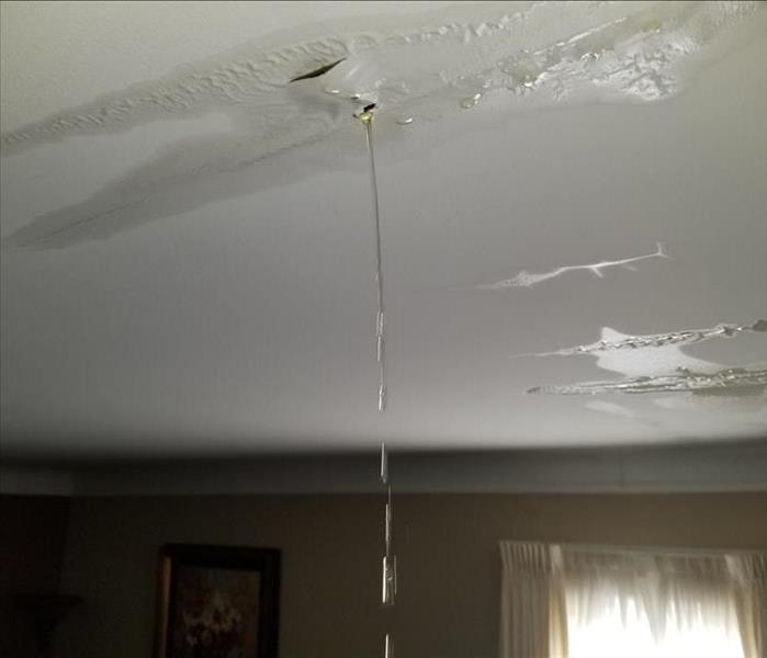 Water Damage falling from ceiling 