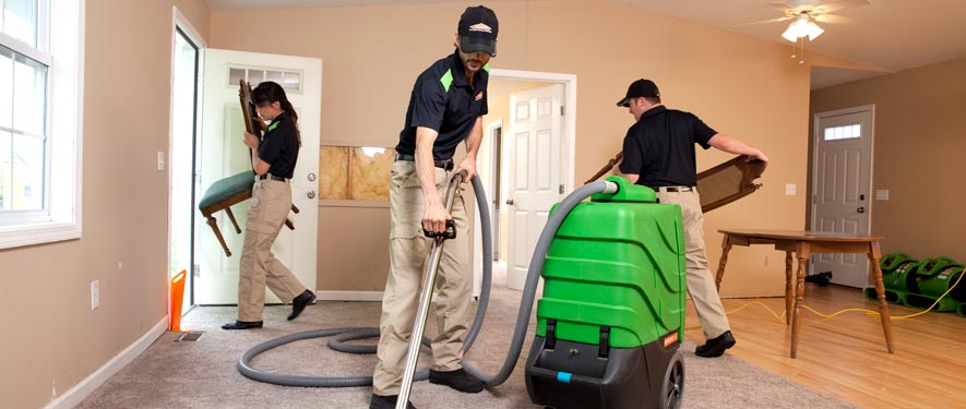 Harrison Charter Township, MI cleaning services